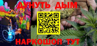 jwh Кингисепп
