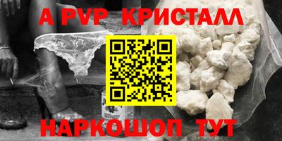 jwh Кингисепп