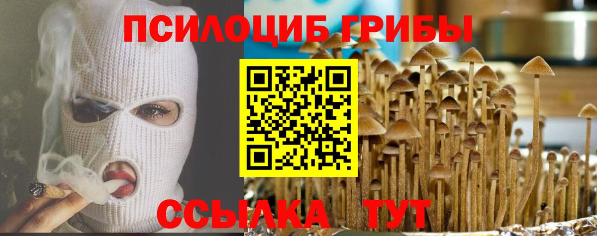 Псилоцибиновые грибы мицелий Красный Сулин